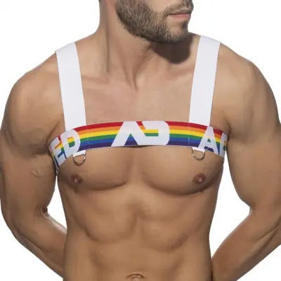 Addicted AD Rainbow Harness